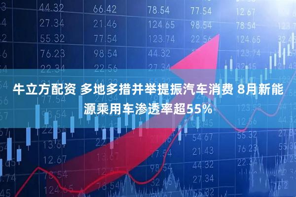 牛立方配资 多地多措并举提振汽车消费 8月新能源乘用车渗透率超55%