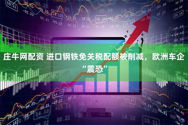 庄牛网配资 进口钢铁免关税配额被削减，欧洲车企“震恐”