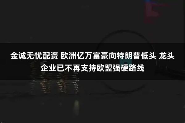 金诚无忧配资 欧洲亿万富豪向特朗普低头 龙头企业已不再支持欧盟强硬路线